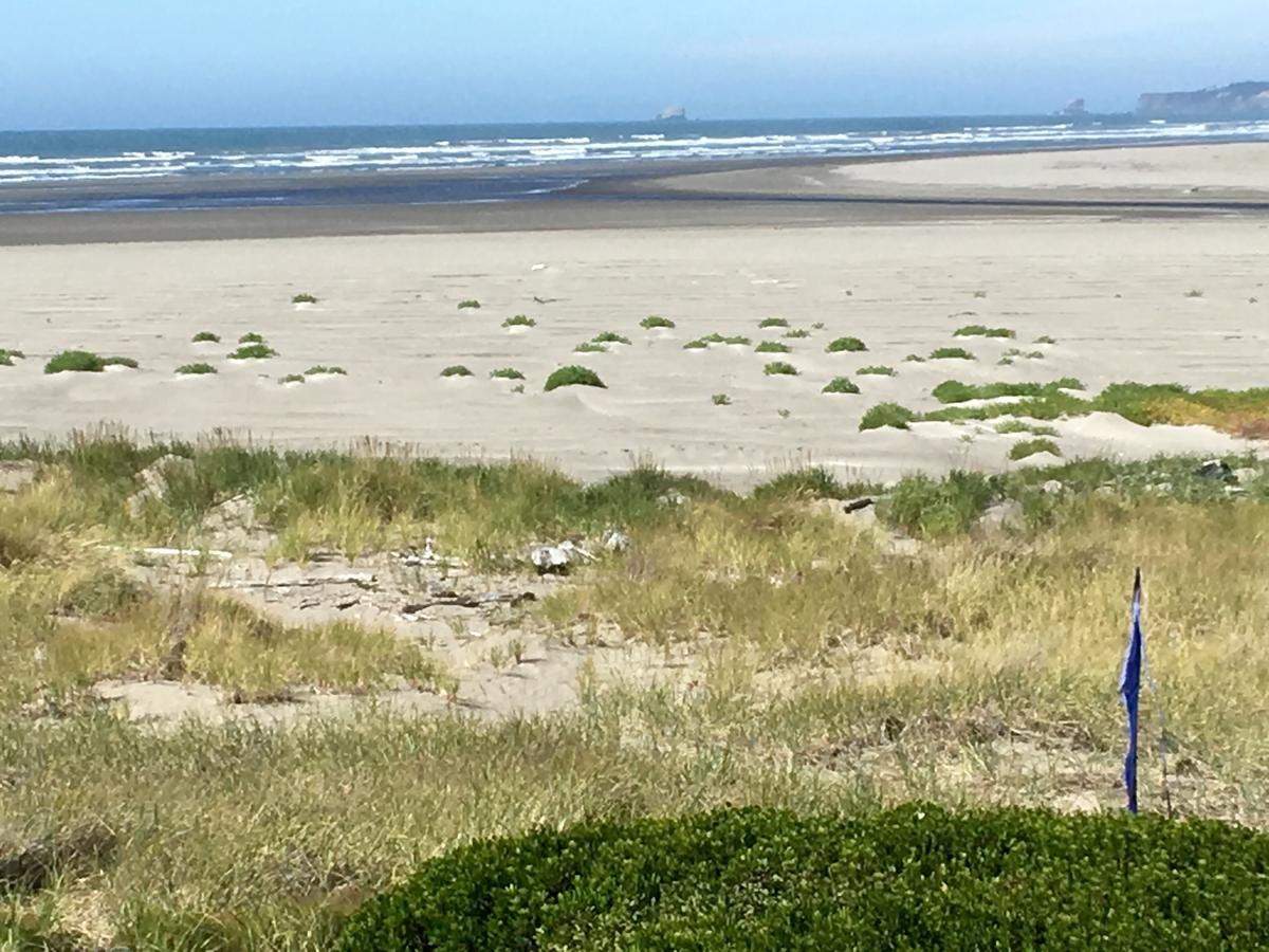 Hi-Tide Ocean Beach Resort Moclips Exteriör bild
